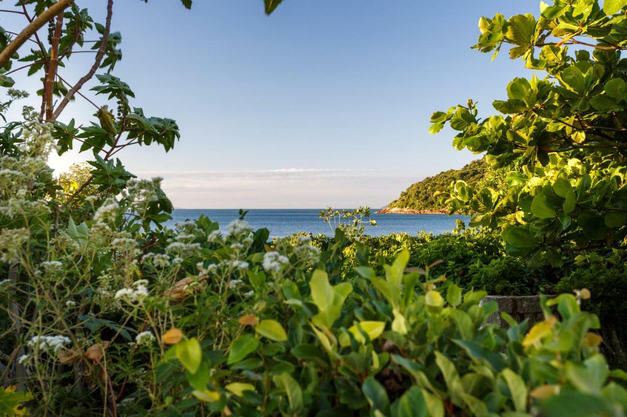 Apartamento Com 4 Suites Pe Na Areia Florianópolis Zewnętrze zdjęcie